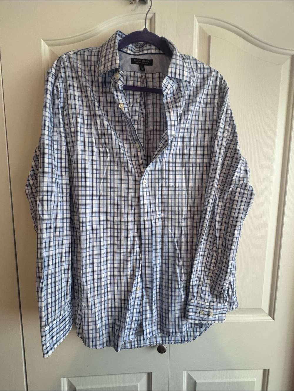 Banana Republic Blue and White Plaid Button-Up Shirt